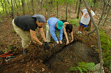 Creation of Sanctuary - unearthing a rock ledge on Pine Mountain